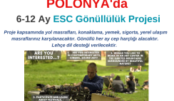 Polonya 6-12 Ay ESC Gönüllülük Projesi
