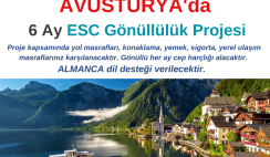 Avusturya 6 Ay Gönüllülük Projesi