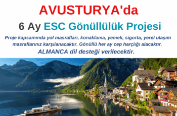 Avusturya 6 Ay Gönüllülük Projesi