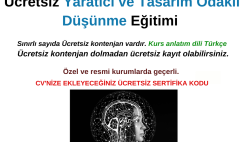 Yaratıcı ve Tasarım Odaklı Düşünme Eğitimi