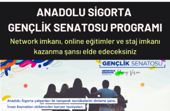 Anadolu Sigorta Gençlik Senatosu Programına Başvurun