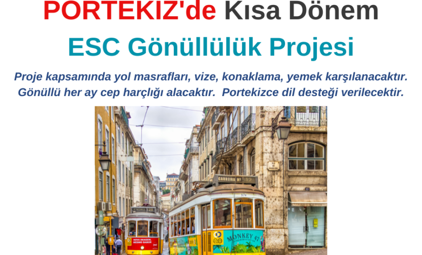 Portekiz Kısa Dönem ESC Gönüllülük Projesi img