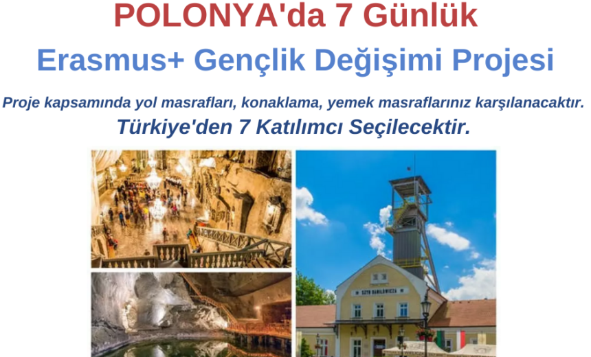Polonya 7 Günlük Gençlik Değişimi Projesi img