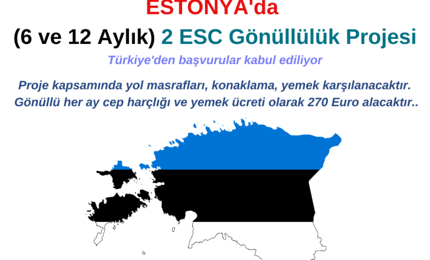 Estonya 2 Farklı ESC Gönüllülük Projesi img