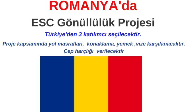 Romanya , Ramnicu Sarat şehrinde ESC Gönüllülük Projesi img