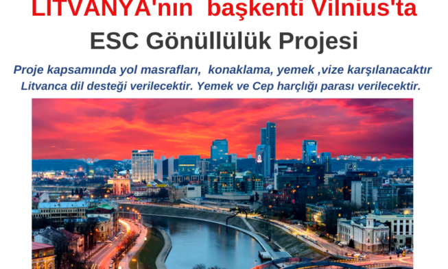 Litvanya başkenti Vilnius Gönüllülük Projesi img