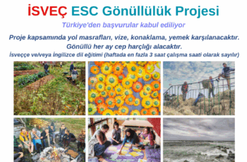 Isveç Uzun Dönem Esc Gönüllülük Projesine Başvurun Isveç Uzun Dönem Esc Gönüllülük Projesine Başvurun