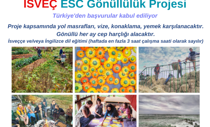 Isveç Uzun Dönem Esc Gönüllülük Projesine Başvurun img