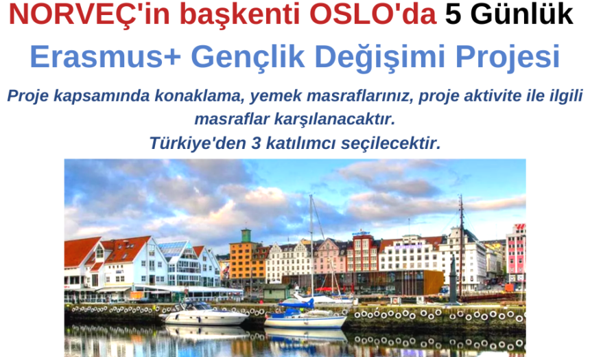 Norveç 5 Günlük Erasmus+ Eğitim Kursu img