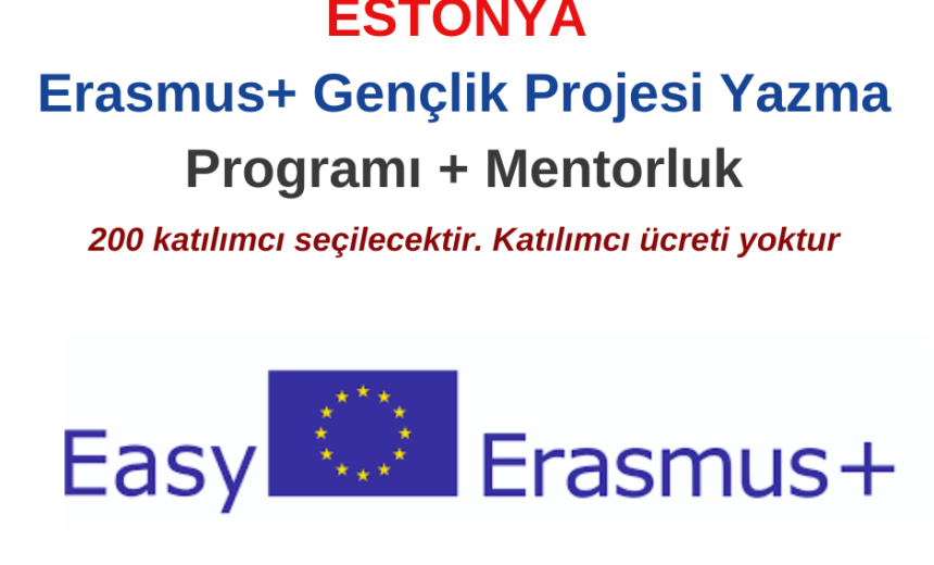 Estonya – Erasmus+ Gençlik Projesi Yazma Programı + Mentorluk img