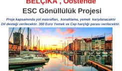Belçika , Oostende Gönüllülük Projesi