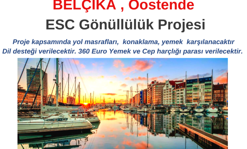 Belçika , Oostende Gönüllülük Projesi img