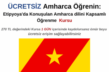 Amharca Öğrenin: Etipyoya’da Konuşulan Amharca dilini Kapsamlı öğrenme kursu