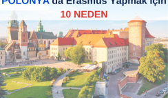 Polonya’da Erasmus Yapmak için 10 Neden