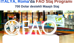 FAO Staj Programı 2022 – Maaşlı Staj
