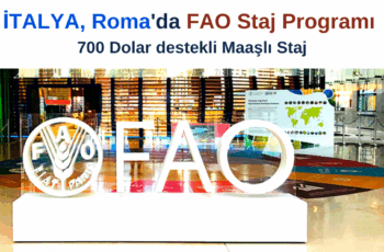 FAO Staj Programı 2022 – Maaşlı Staj
