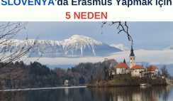 Slovenya’da Erasmus Yapmak için 5 Neden