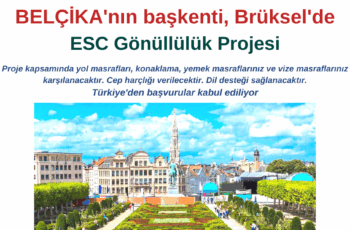 Belçika başkenti Brüksel  ESC Gönüllülük Projesi Belçika başkenti Brüksel  ESC Gönüllülük Projesi
