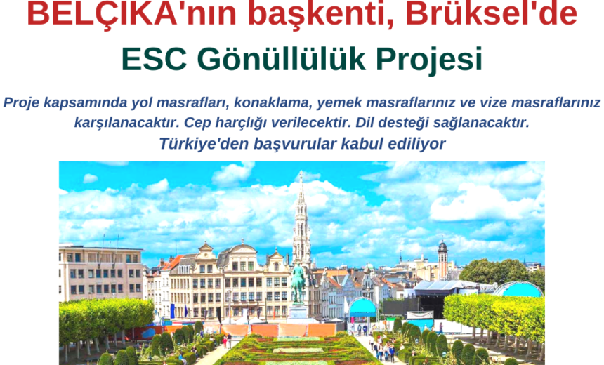 Belçika başkenti Brüksel ESC Gönüllülük Projesi img