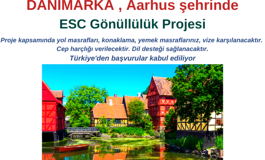 Danimarka , Aarhus şehrinde ESC Gönüllülük Projesi img