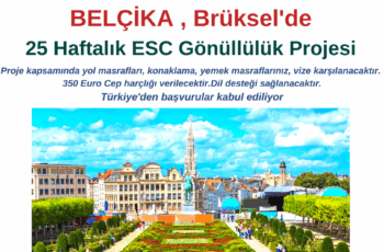 Belçika , Brüksel 25 Haftalık Gönüllülük Projesi