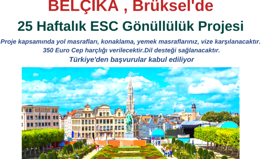 Belçika , Brüksel 25 Haftalık Gönüllülük Projesi img