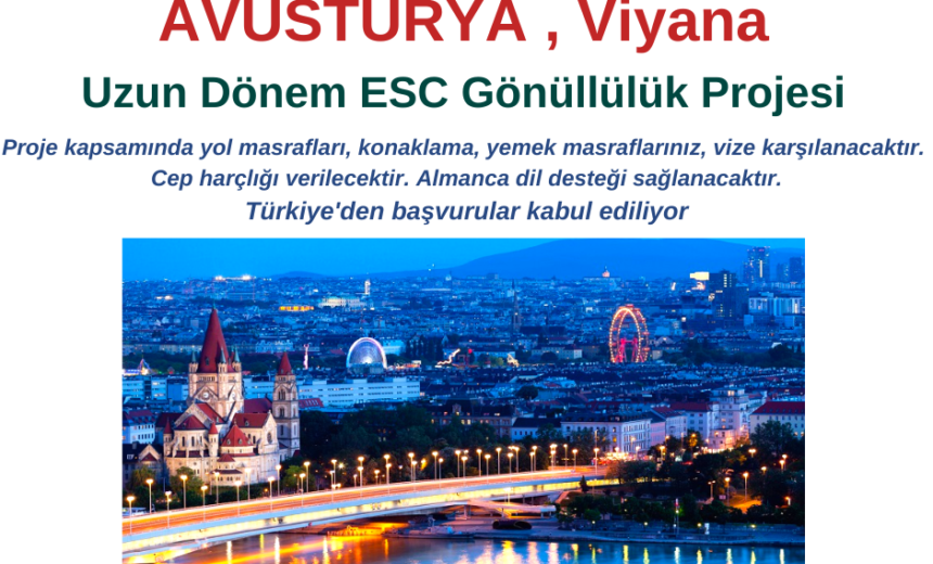 Avusturya , Viyana Gönüllülük Projesi img