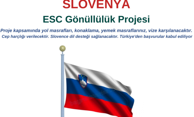 Slovenya , Idrija Gönüllülük Projesi img