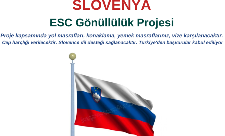 Slovenya , Idrija Gönüllülük Projesi img