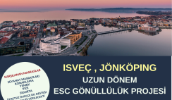 İsveç , Jönköping Uzun Dönem Gönüllülük Projesi