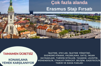 Slovakya , Bratislava Erasmus+ Staj İlanları