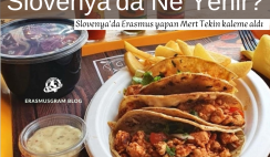 Slovenya’da Ne Yenir?