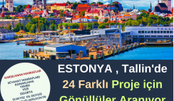 Estonya , Tallin 24 Farklı Proje