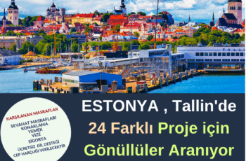 Estonya , Tallin 24 Farklı Proje
