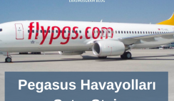 Pegasus Satış Stajyer Duyurusu