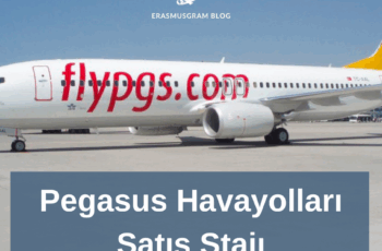 Pegasus Satış Stajyer Duyurusu