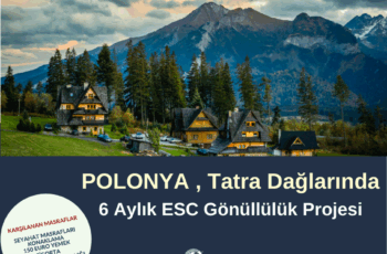Polonya Tatra Dağlarında 6 Ay Gönüllülük Projesi