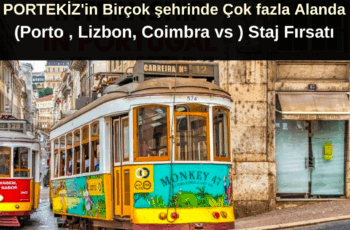 Portekiz’de Porto , Lizbon ve Coimbra’da Staj Fırsatı
