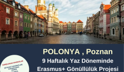 Polonya , Poznan Yaz Dönemi 9 Haftalık Proje