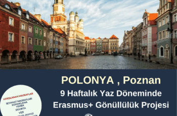 Polonya , Poznan Yaz Dönemi 9 Haftalık Proje