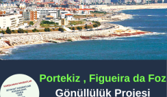 Portekiz , Figueira da Foz Gönüllülük Projesi