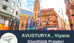 Avusturya , Viyana Gönüllülük Projesi
