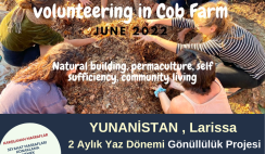 Yunanistan , Larissa 2 Aylık Yaz Dönemi Gönüllülük Projesi