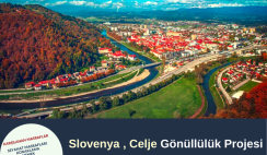 Slovenya , Celje Gönüllülük Projesi