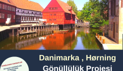Danimarka , Hørning Gönüllülük Projesi