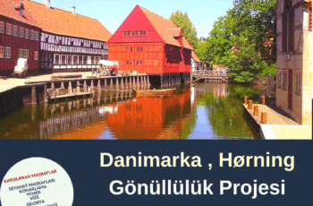 Danimarka , Hørning Gönüllülük Projesi
