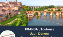 Fransa , Toulouse Uzun Dönem Gönüllülük Projesi