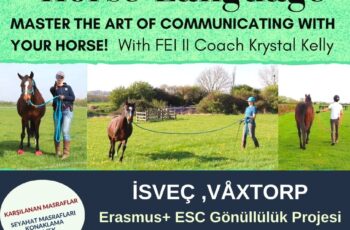 İSVEÇ ,VÅXTORP Gönüllülük Projesi