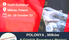 Polonya 8 Günlük Gençlik Değişimi