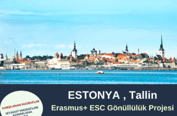 Estonya , Tallin Gönüllülük Projesi